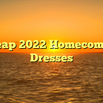 Cheap 2022 Homecoming Dresses