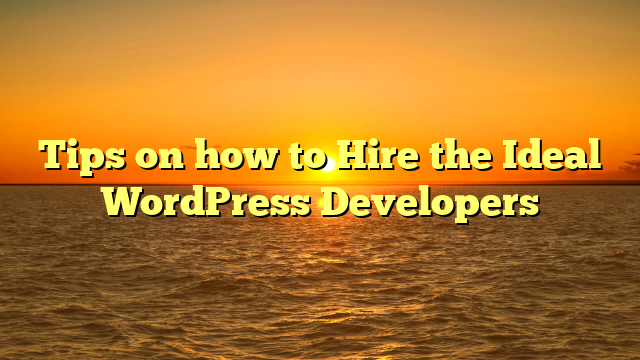 Tips on how to Hire the Ideal WordPress Developers