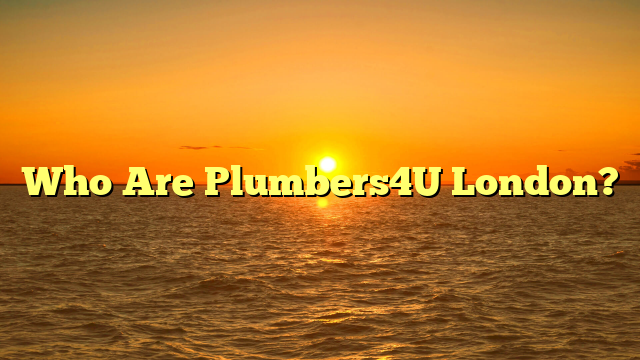 Who Are Plumbers4U London?