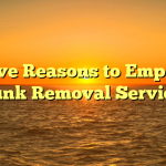 twelve Reasons to Employ a Junk Removal Service
