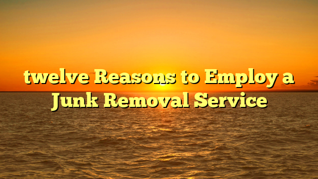 twelve Reasons to Employ a Junk Removal Service