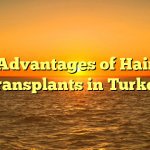 Advantages of Hair Transplants in Turkey